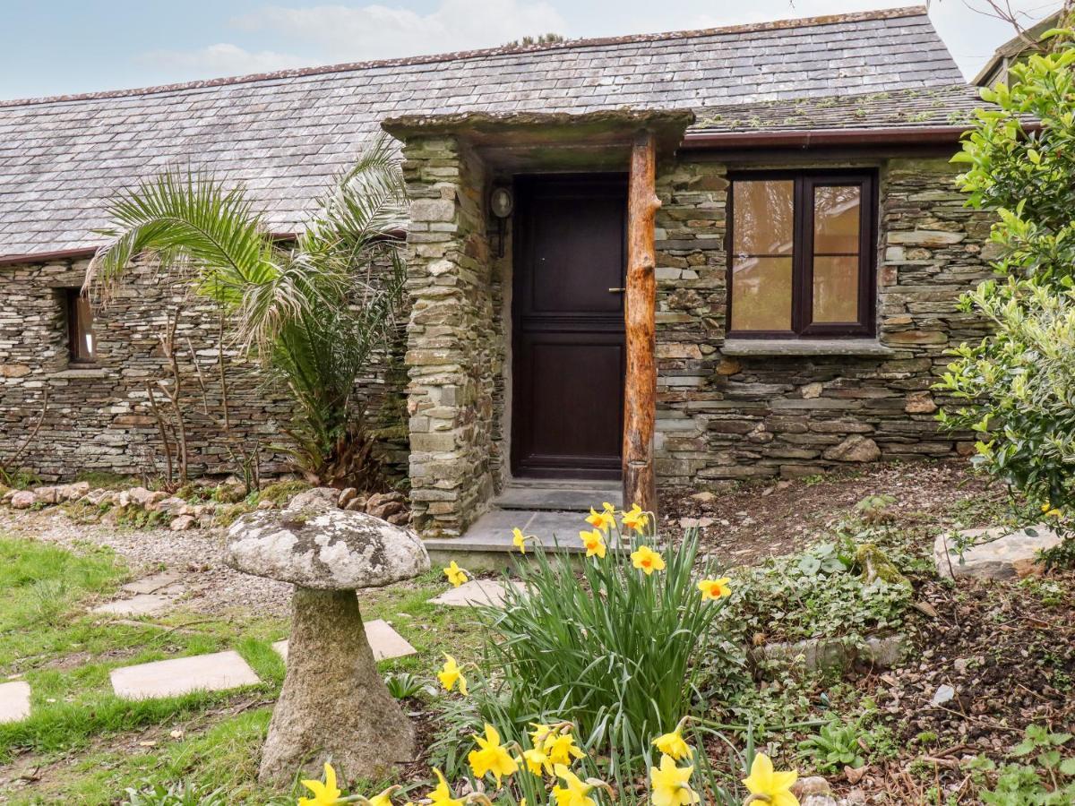 Downrow Barn Villa Тинтагил Екстериор снимка